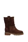 Sergio Rossi Ankle boots winnie Women Suede Brown Cocoa