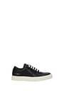 Common Projects Sneakers bball Women Leather Black