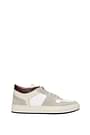 Common Projects Sneakers Men Leather Gray White