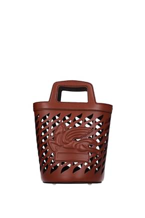 Etro Handbags Women Leather Brown