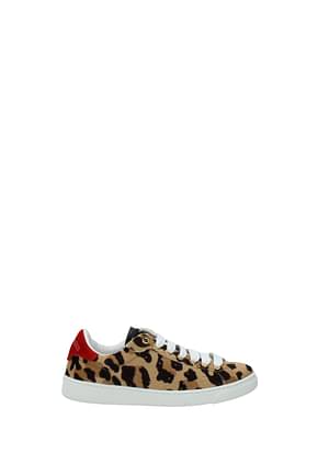 Dsquared2 Sneakers Femme Poney Cuir Marron