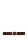 Orciani Thin belts Men Suede Brown Chestnut