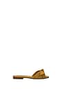 Manolo Blahnik Slippers and clogs notamu Women Leather Gold Gold