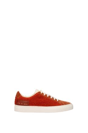 Common Projects Sneakers Damen Wolle Orange Rost
