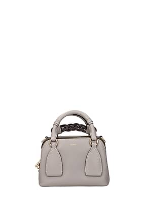 Chloé Handbags daria Women Leather Gray Light Grey