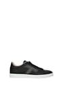 Tod's Sneakers Women Leather Black